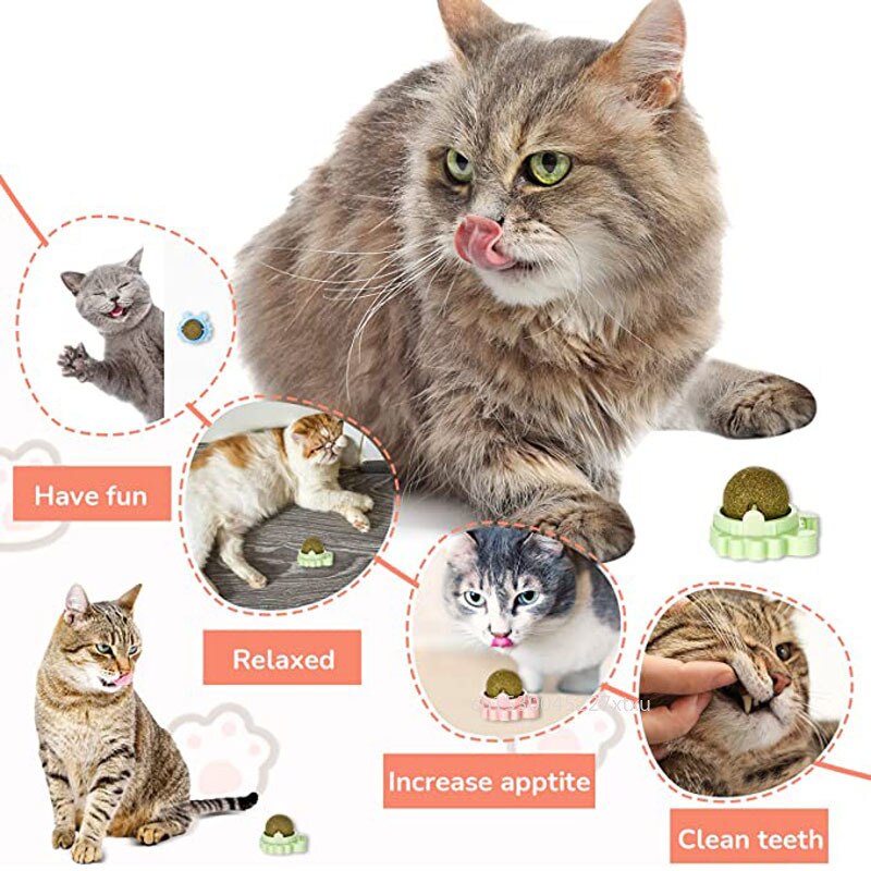 Natural Mint Snack Nutrition for Cat
