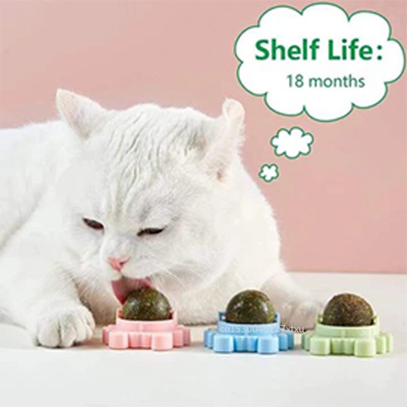 Natural Mint Snack Nutrition for Cat