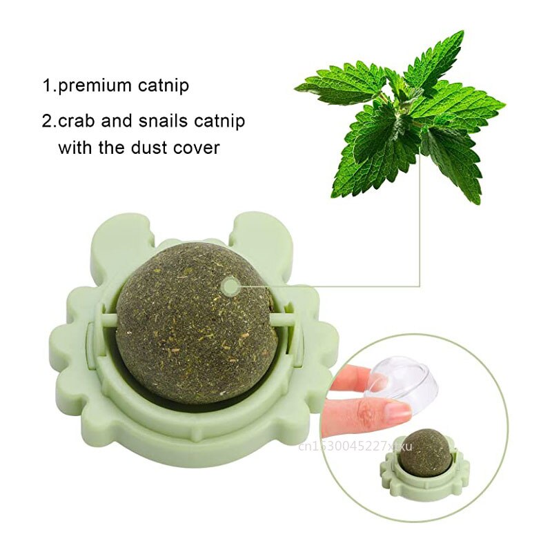 Natural Mint Snack Nutrition for Cat