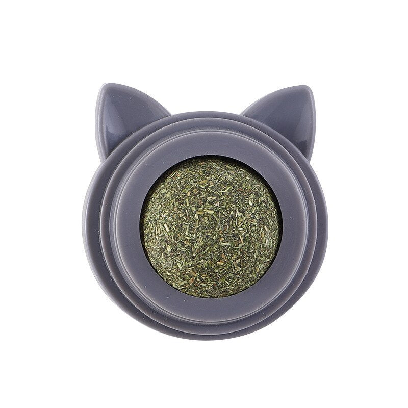 Natural Mint Snack Nutrition for Cat