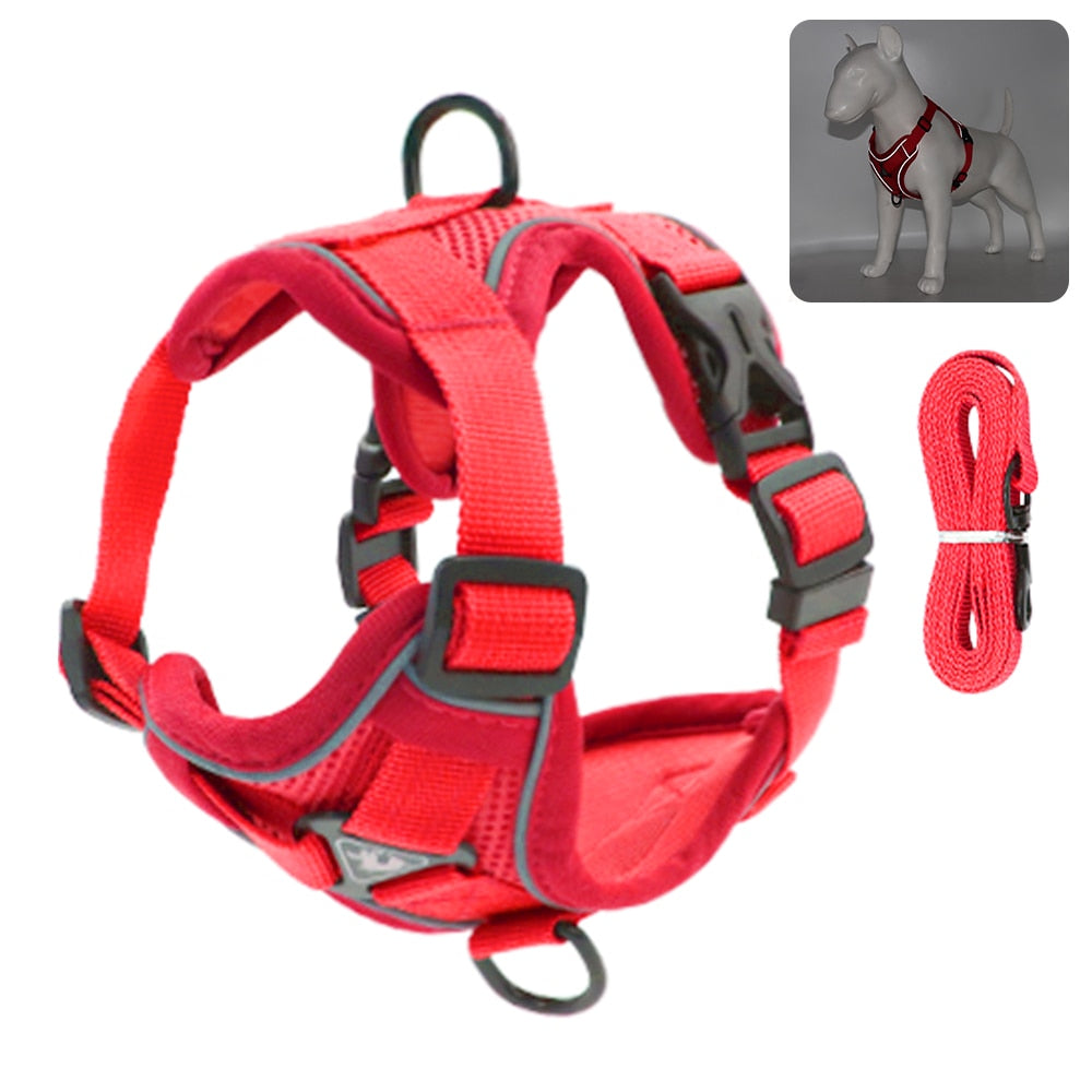 Cat Harness