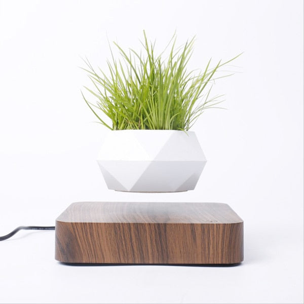 Flourish Deals Floating Plant