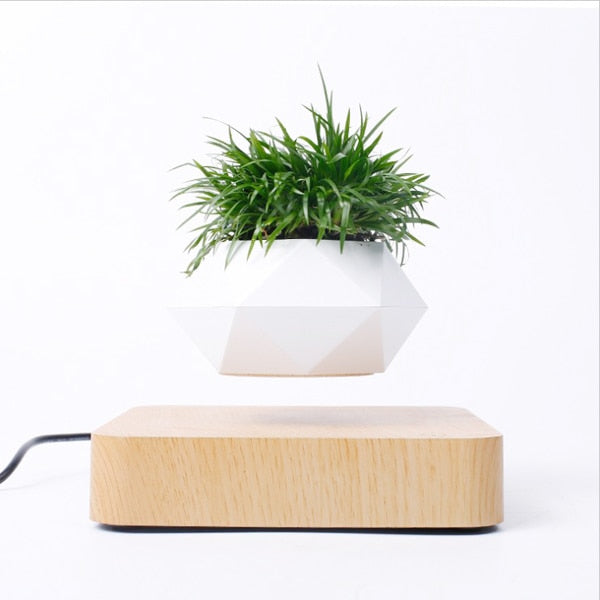 Flourish Deals Floating Plant