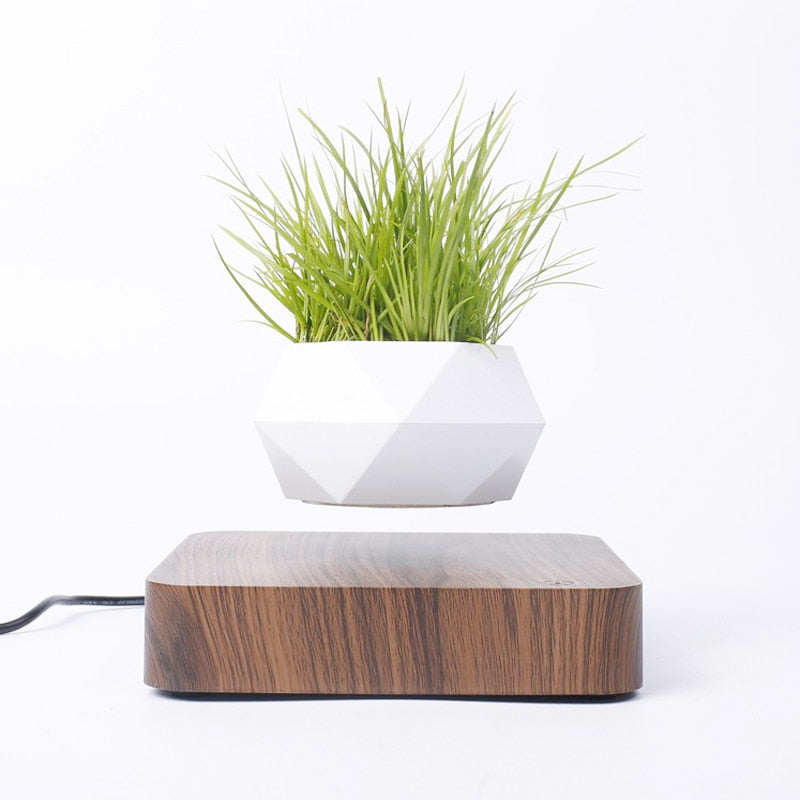 Flourish Deals Floating Plant