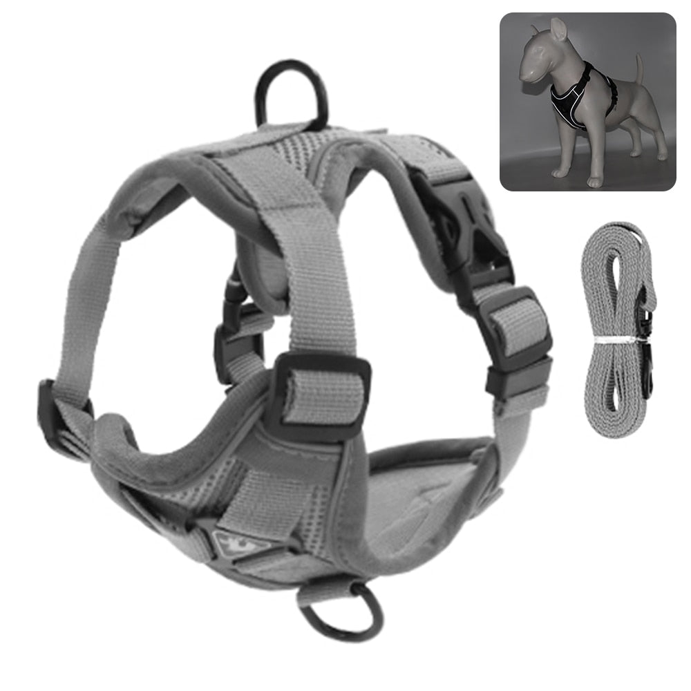 Cat Harness