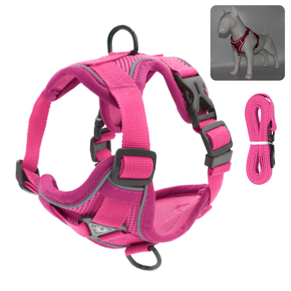 Cat Harness