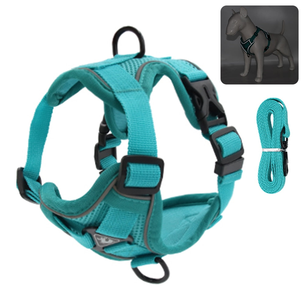 Cat Harness