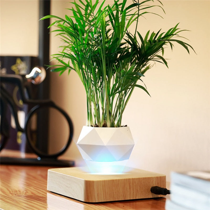Flourish Deals Floating Plant