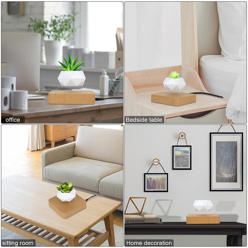 Flourish Deals Floating Plant