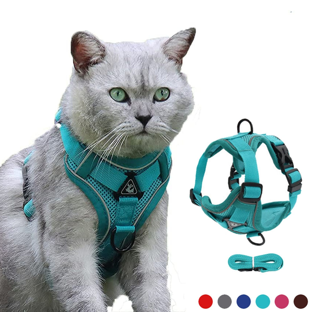 Cat Harness