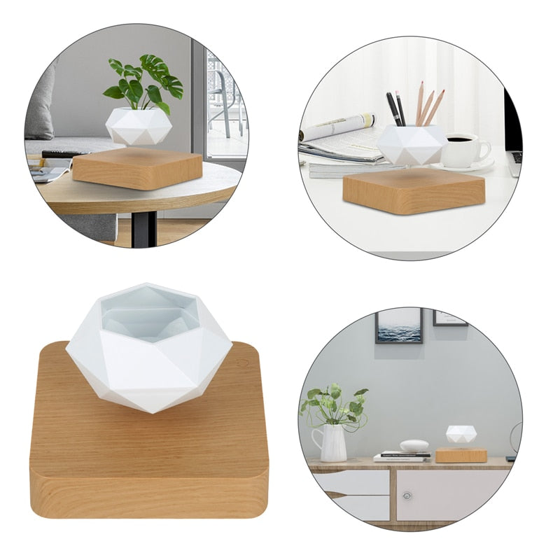 Flourish Deals Floating Plant