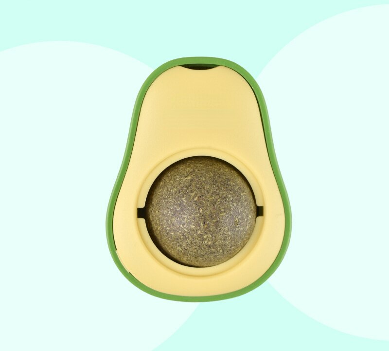 Natural Mint Snack Nutrition for Cat