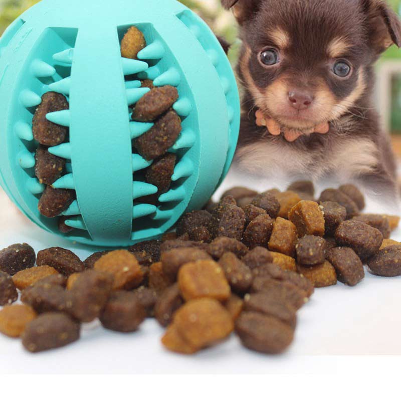 Dog Thrower Chew Toy