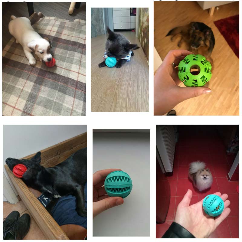 Dog Thrower Chew Toy